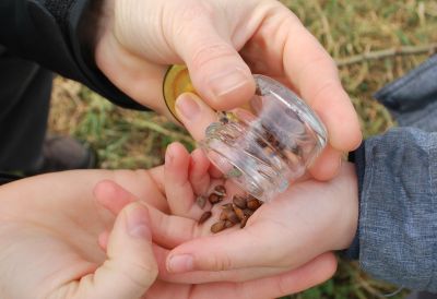 fortbestehende Reflexe bei Kindern